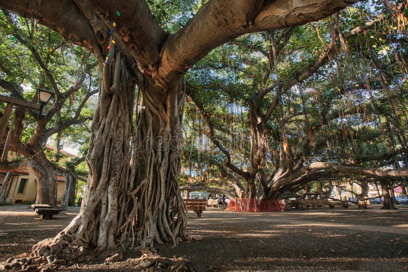 Lahaina Historic District